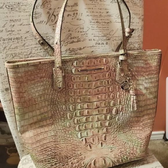 Brahmin Asher Atlas, NWT And Dustbag - Picture 5 of 6